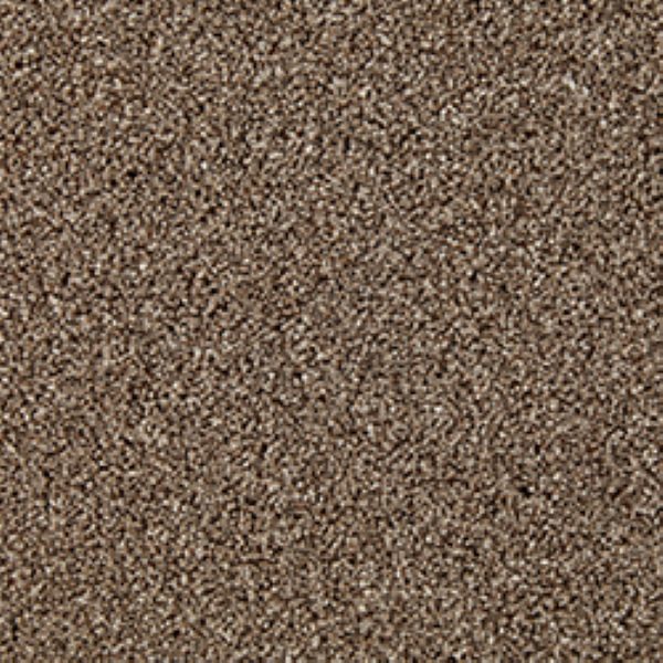 Carpet name: Easy Living Heathers Chestnut