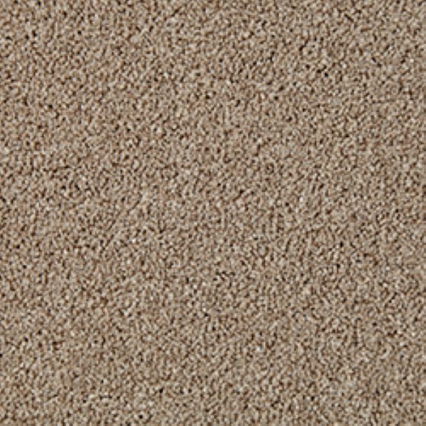 Carpet name: Easy Living Heathers Walnut