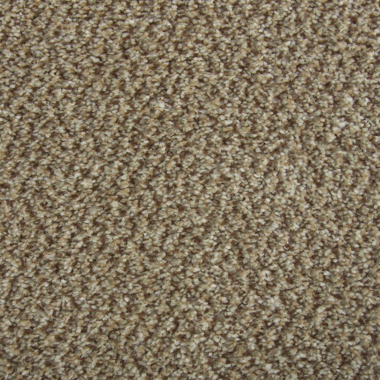 Carpet name: Richmond Tweed Wheatflour