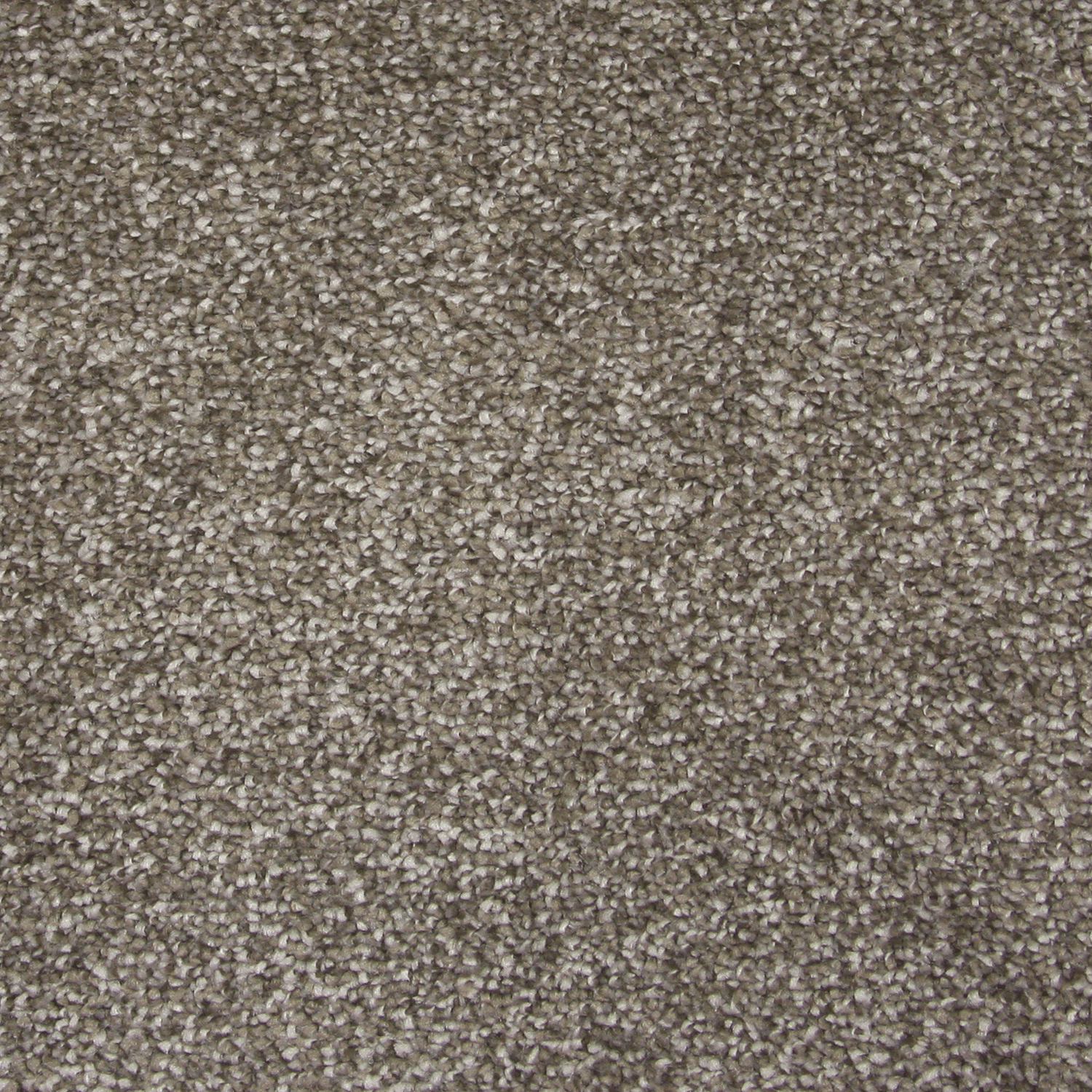 Carpet name: Smart Christchurch Shaded Affection