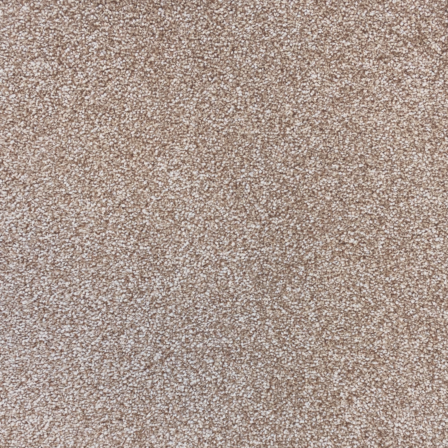Carpet name: Smart Textures Fawn