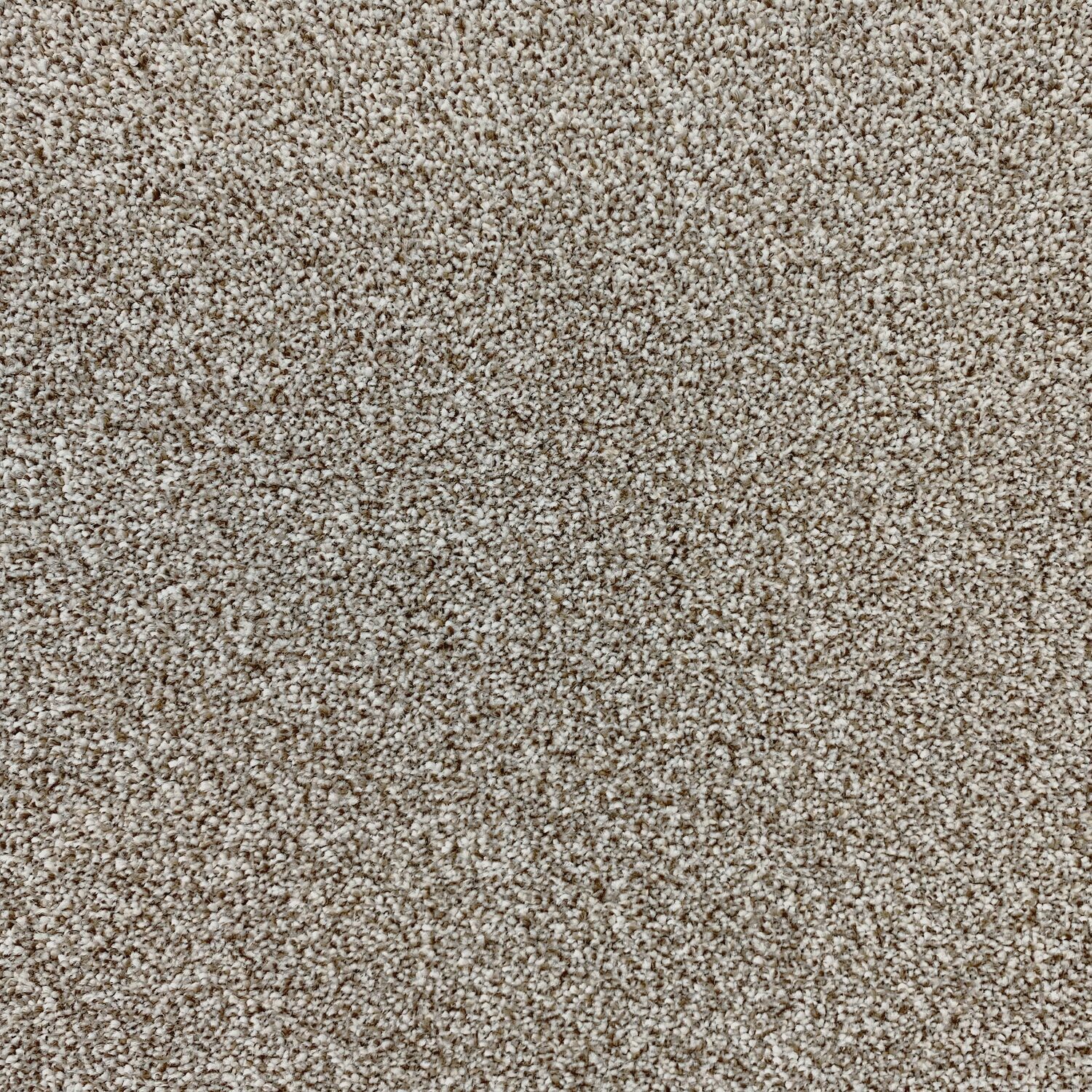 Carpet name: Smart Textures Hazel