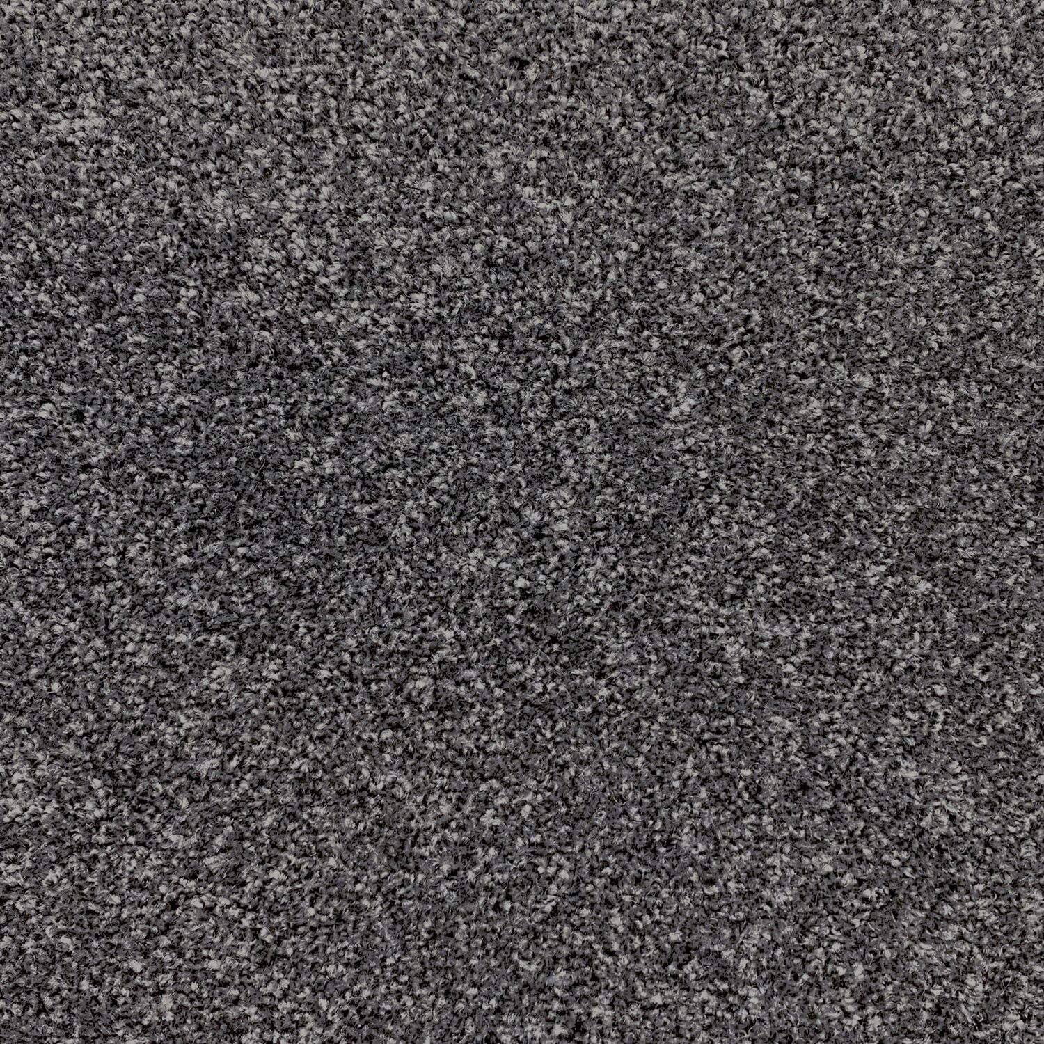Carpet name: Smart Textures Raven